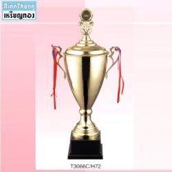 TPZ306 ถ้วยรางวัลโลหะ ZINC (ถ้วยใบใหญ่)