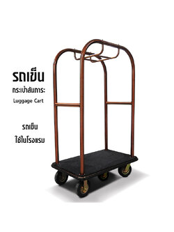 Hotel luggage cart-Luggage Hand Trolley