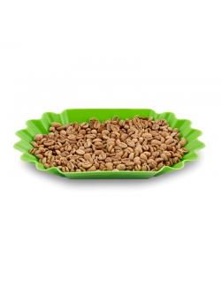 ถาดคัปปิ้ง ถาดพลาสติกโชว์เมล็ดกาแฟ