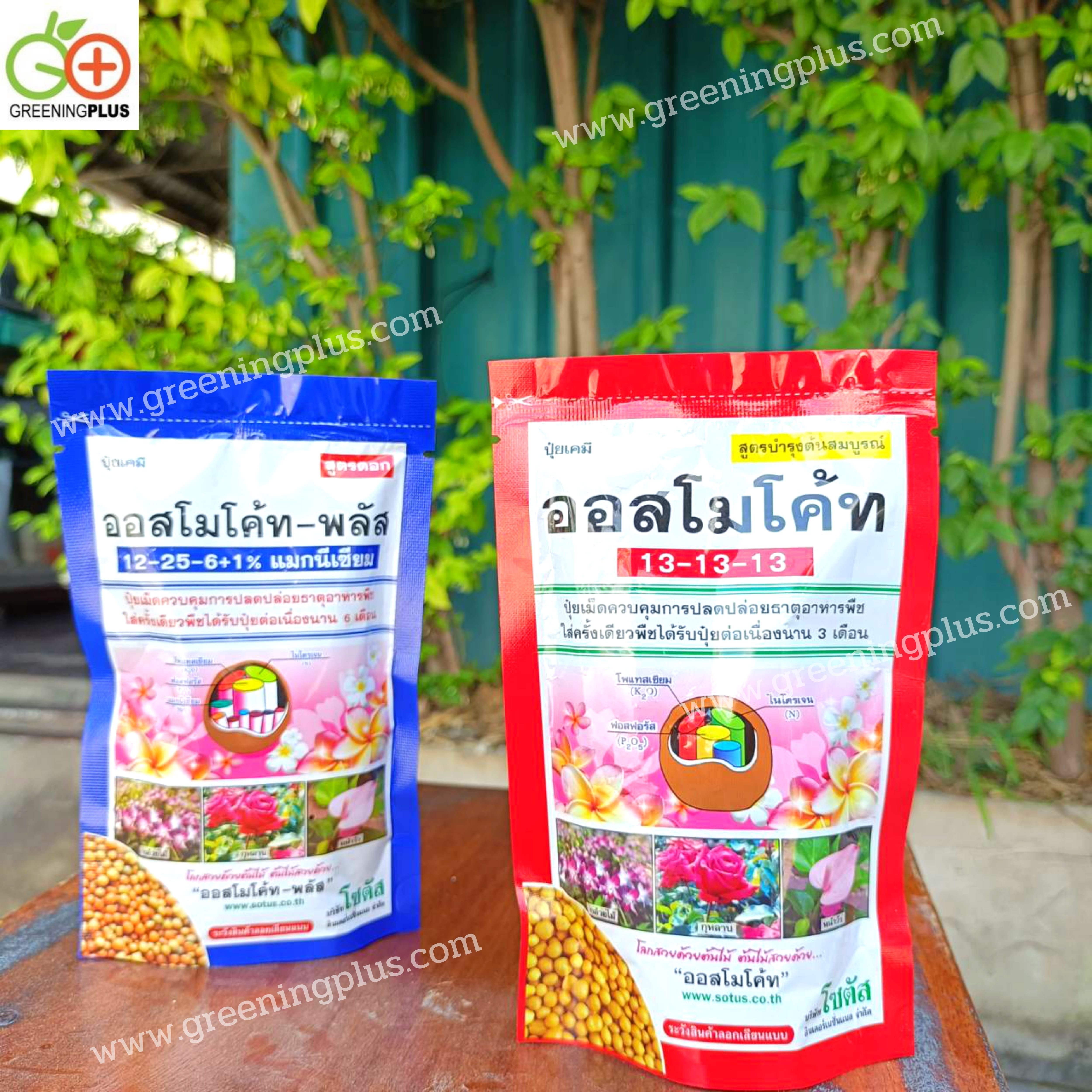 ปุ๋ยออสโมโค้ท (Osmocote) ขนาด 100 กรัม