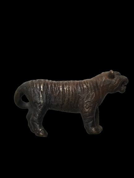 E136 เสือรูปหล่อ