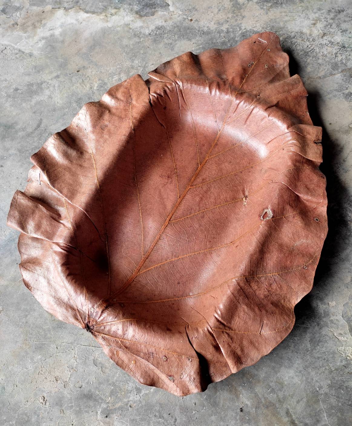 จานใบไม้สี่เหลี่ยม กว้าง 14 ซม. ยาว 21 ซม. แพค 20 ใบ จานใบไม้ตองตึงธรรมชาติ จานใบไม้ธรรมชาติ จานใบตอง จานธรรมชาติ