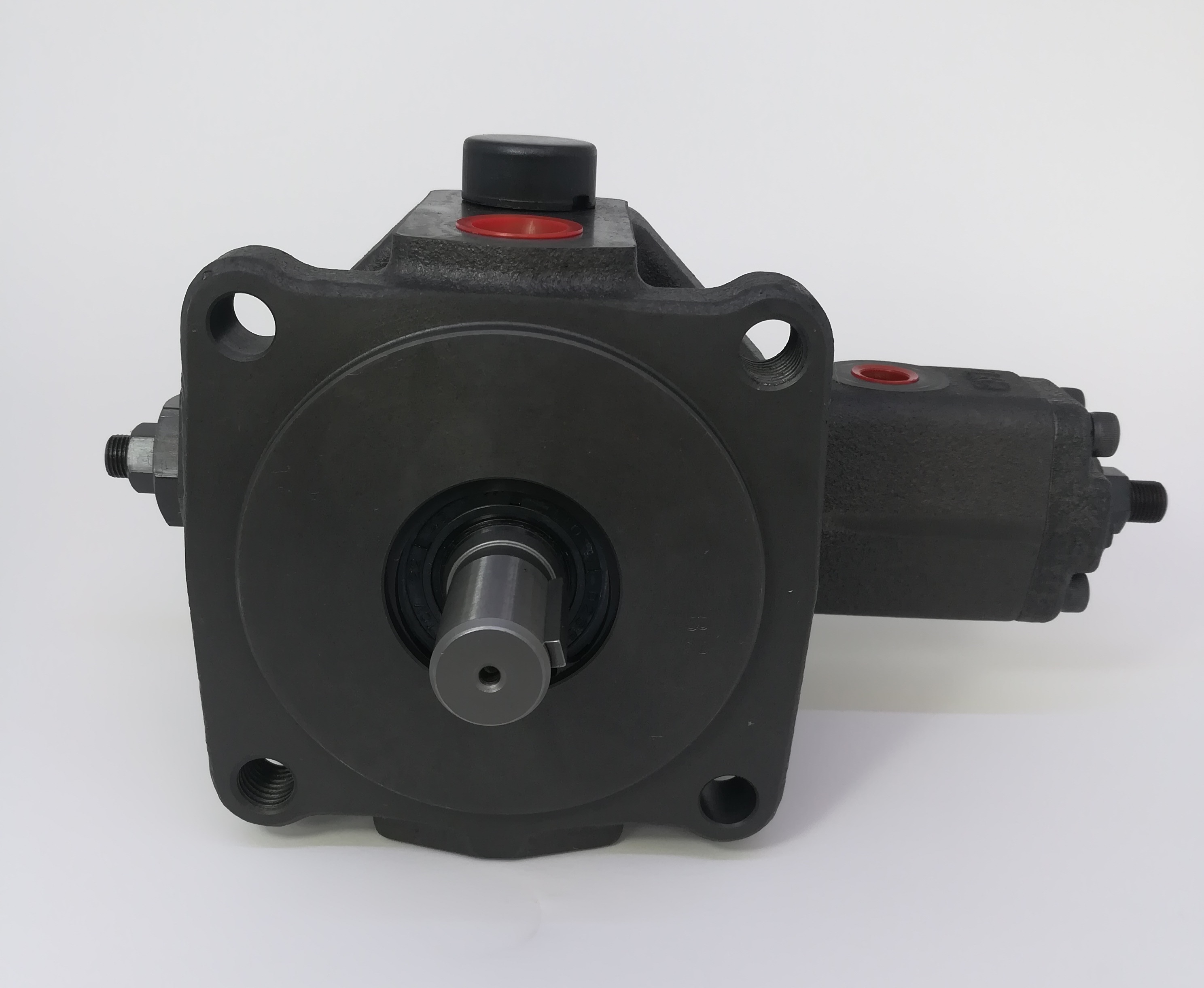 Hydraulic pump SPVF30