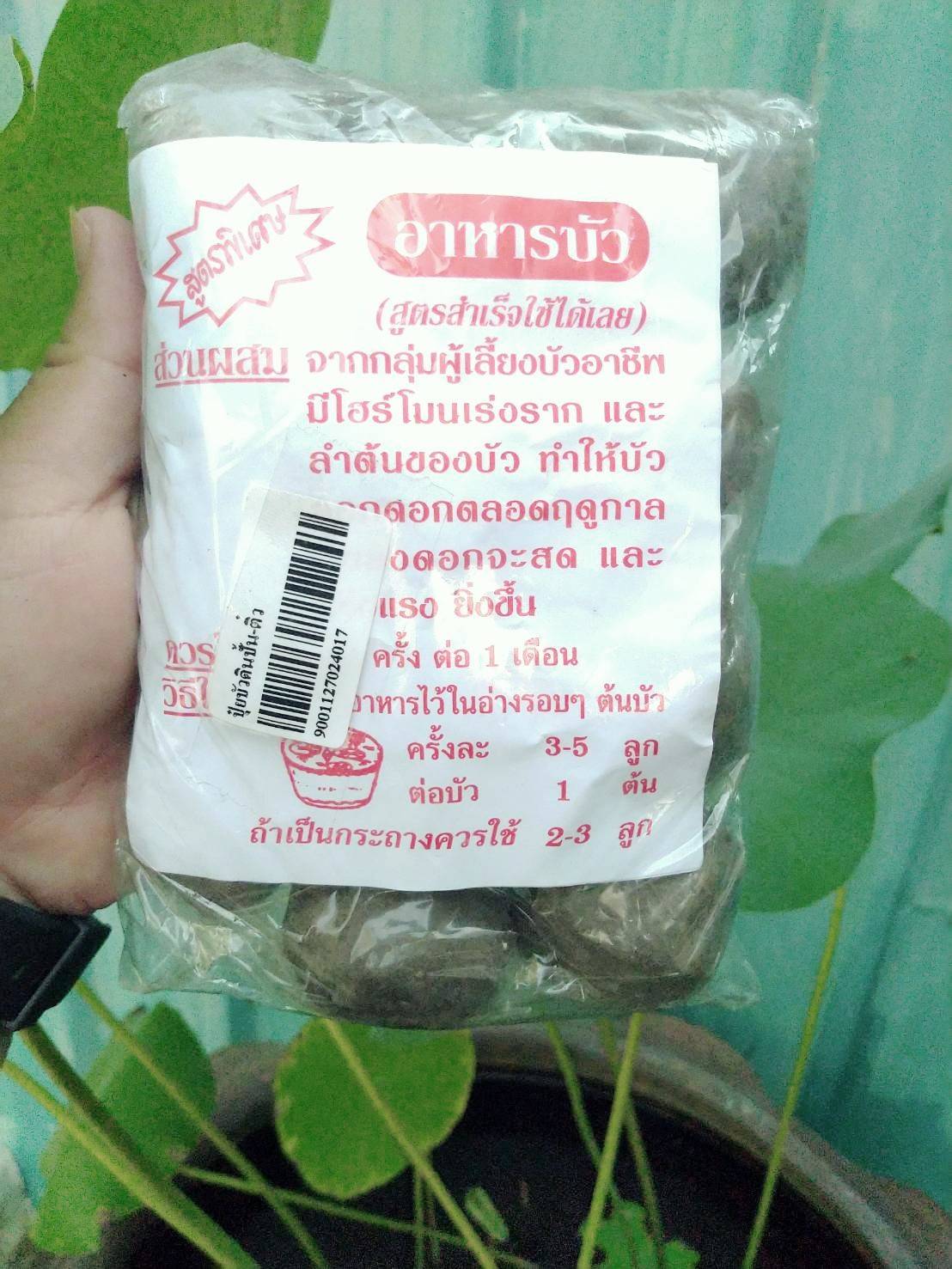 ปุ๋ยบัวดินปั้น