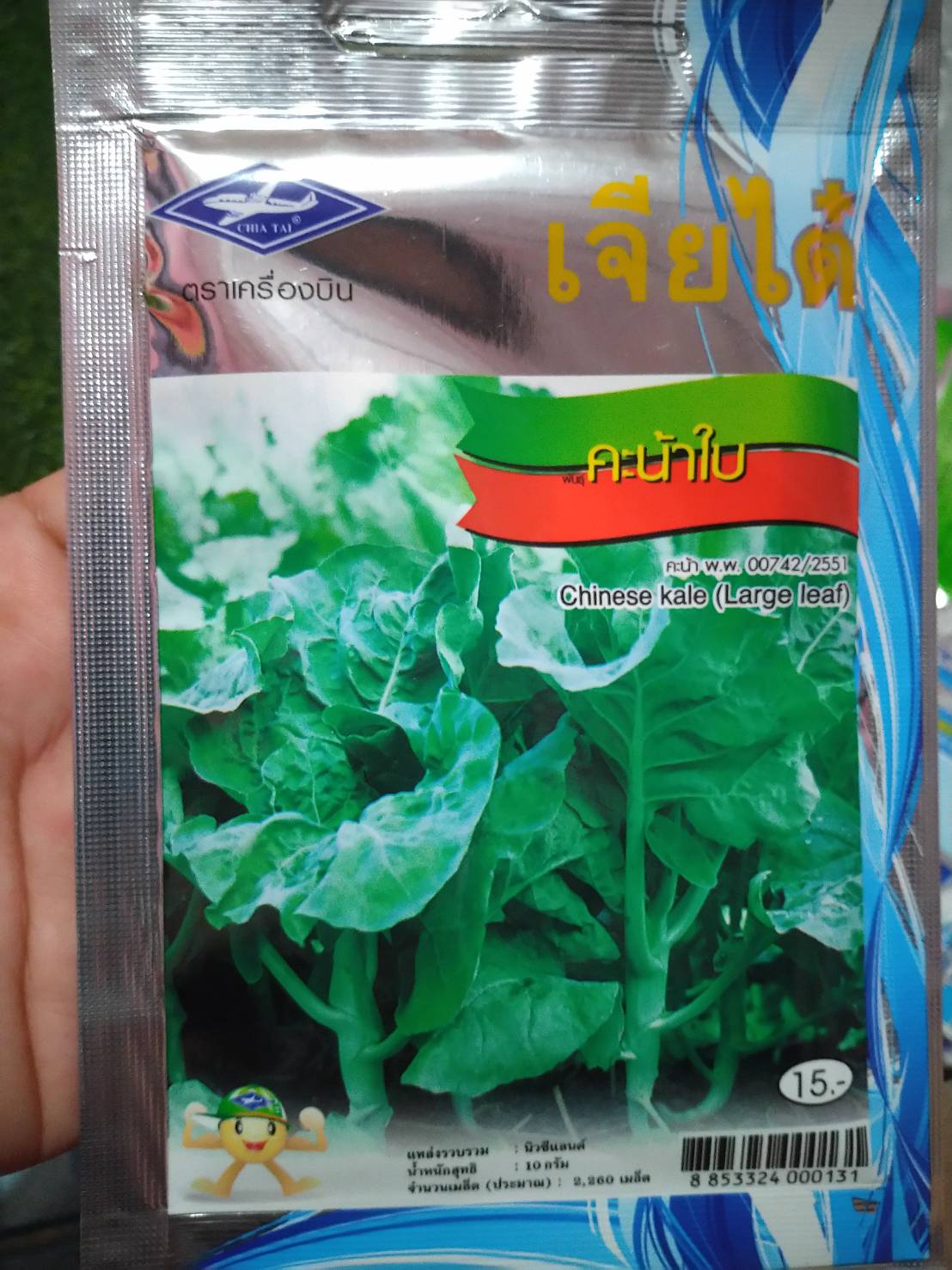 คะน้าใบ (Chinese Kale - Large leaf) เจียใต๋