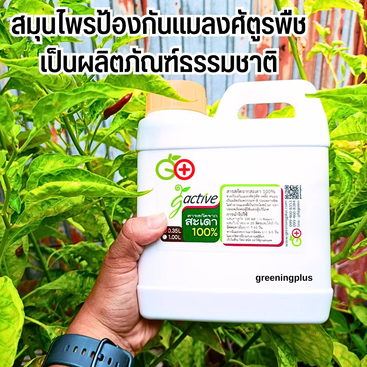 สมุนไพรสะเดา ป้องกันศัตรูพืช ขนาด 1 ลิตร