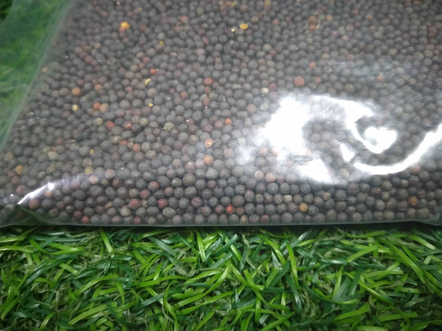 KALE เคลใบหยิก 100ม./ซอง