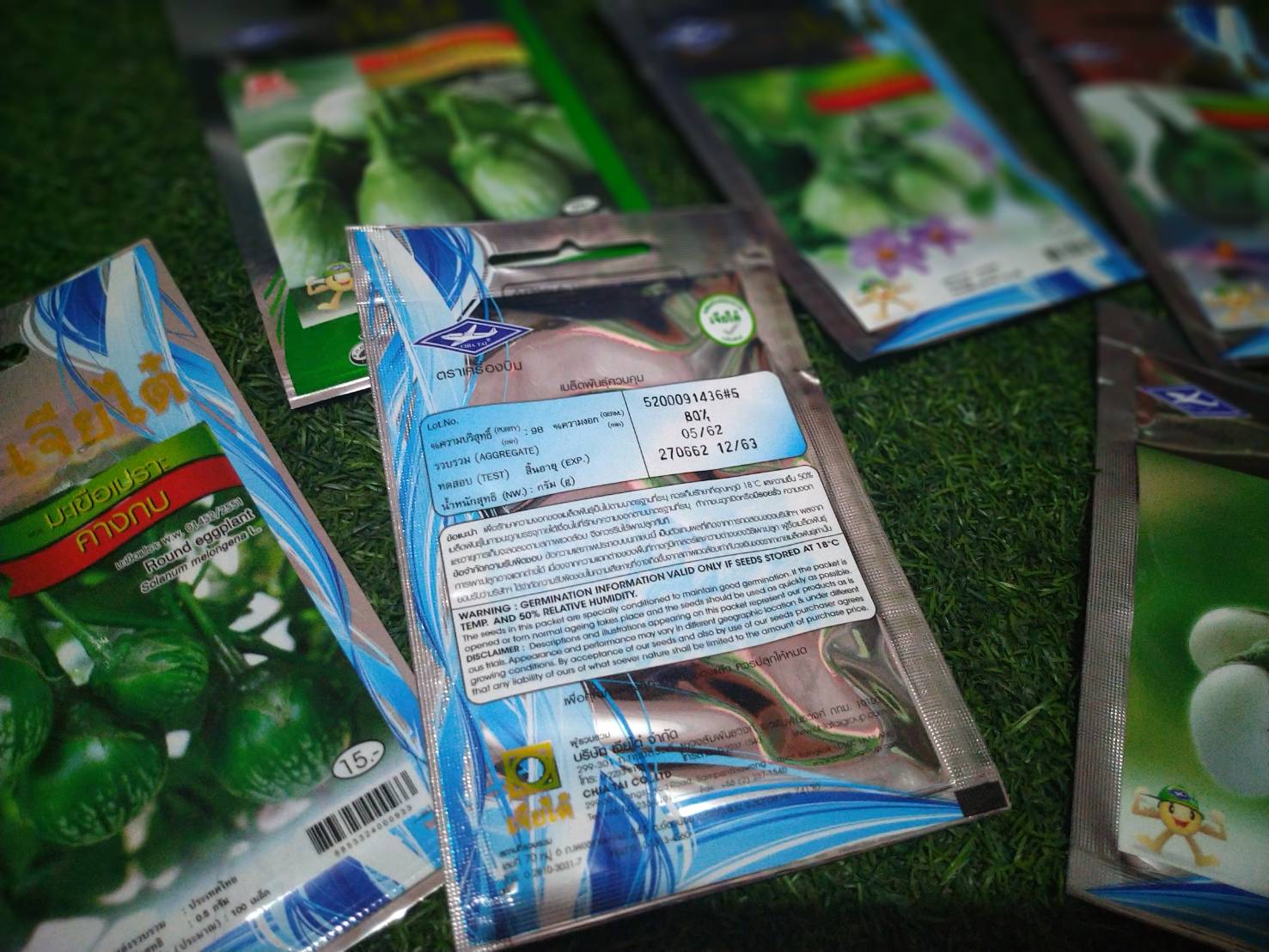 มะเขือเปราะจานม่วง Eggplant เจียใต๋