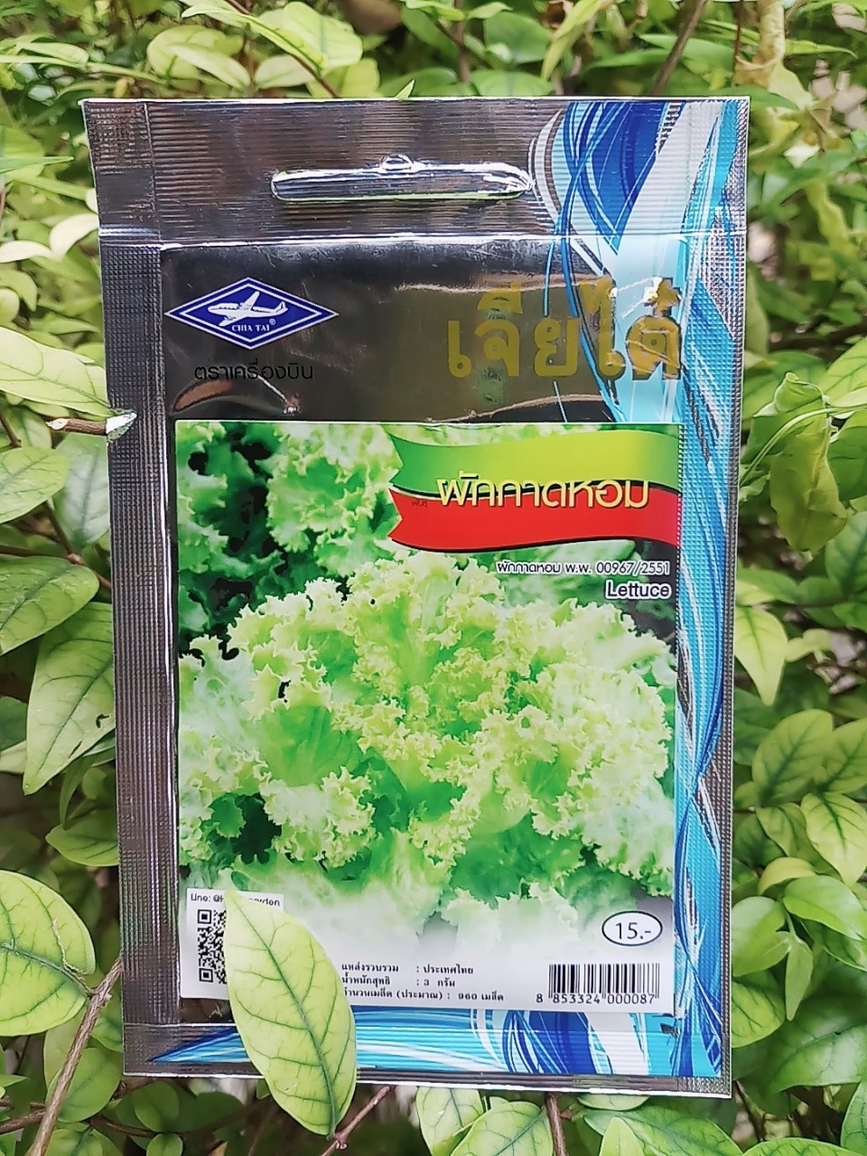 กาดหอม lettuce เจียใต๋