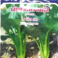 กวางตุ้งโชว์จีน Paitsai Showjean 610 เพื่อนเกษตร