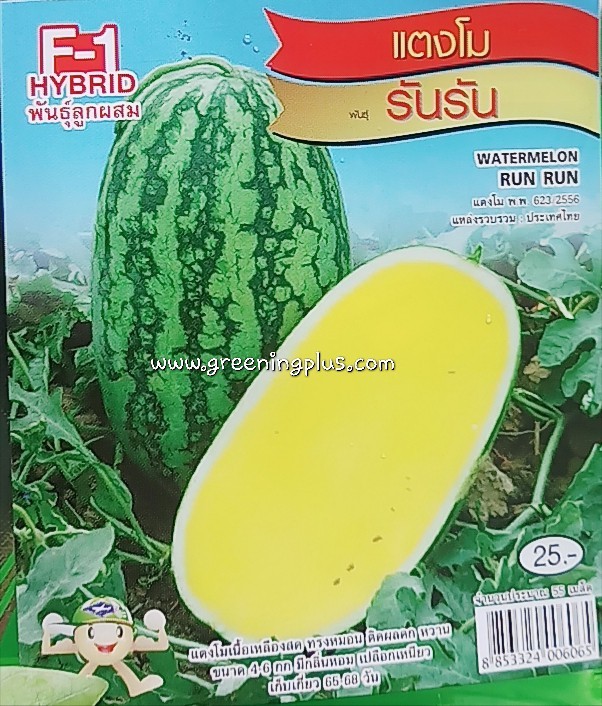 แตงโมเหลือง รันรัน(WATERMELON RUN RUN) เจียใต๋