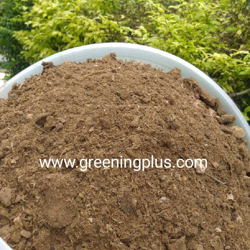 อาหลีปุ๋ยคอกแท้ 100% จำนวน 1 กระสอบ