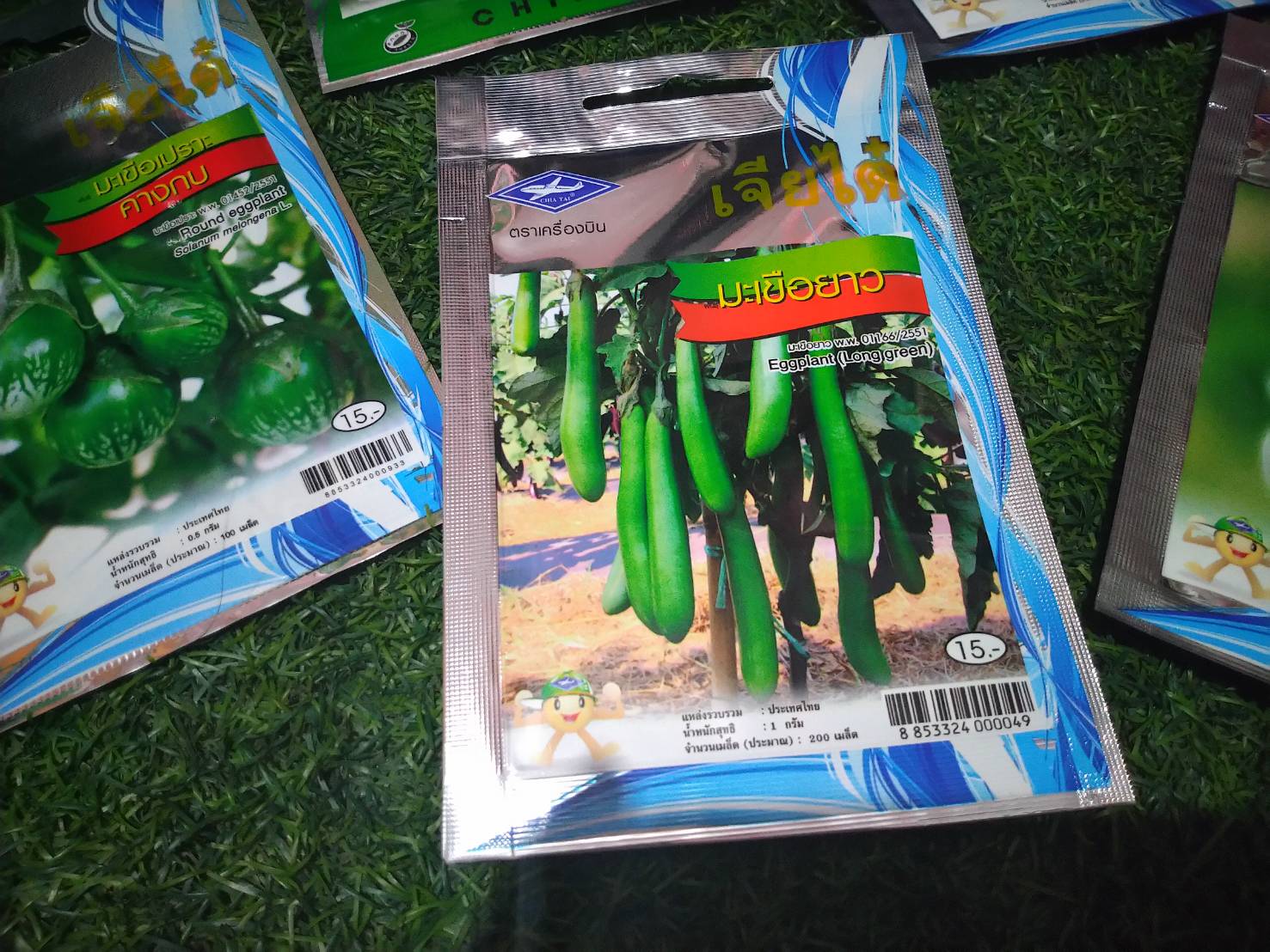 มะเขือยาว (Eggplant - Long Green) เจียใต๋