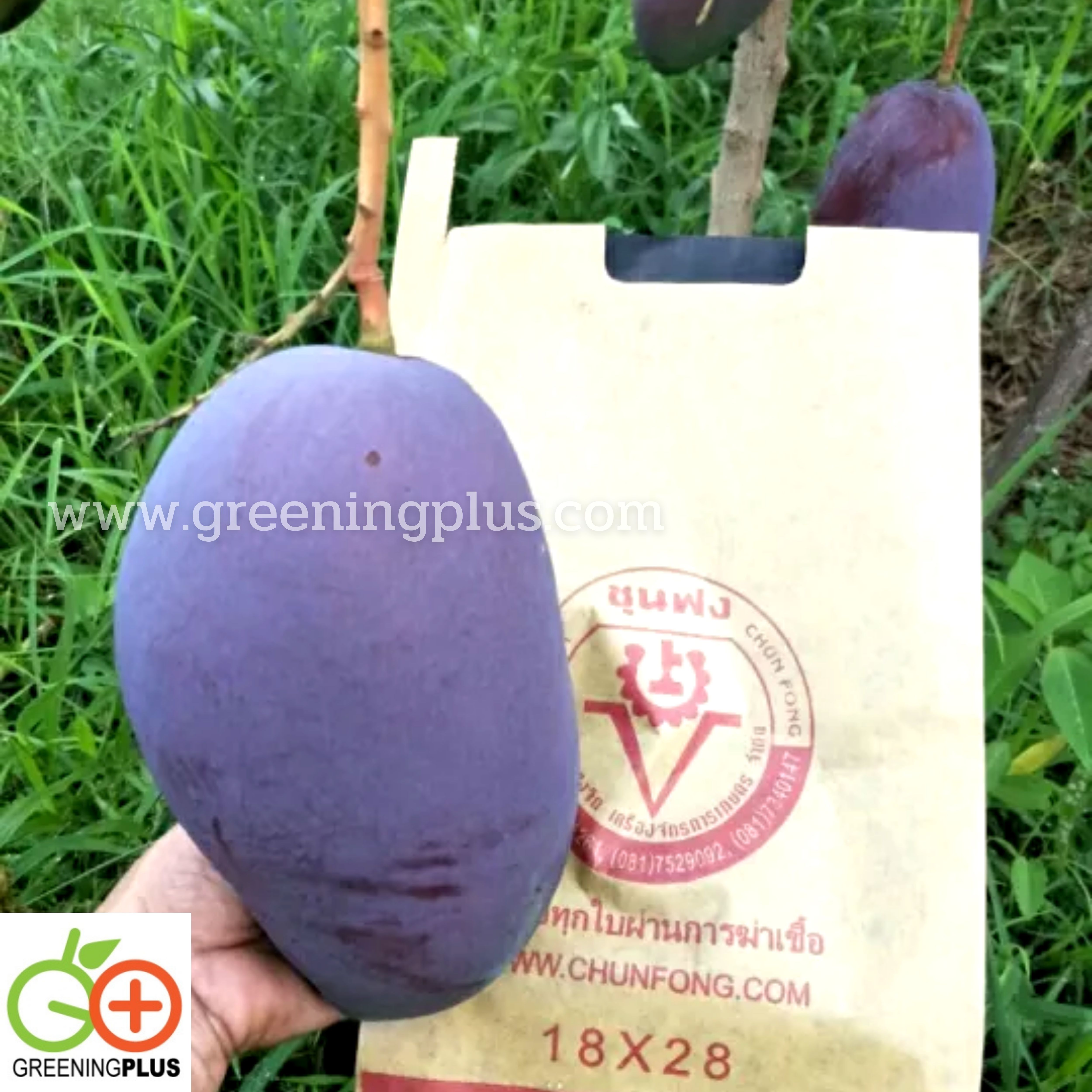 ถุงกระดาษคาร์บอน ขนาด18x28ซม. 2000ใบ/ลัง