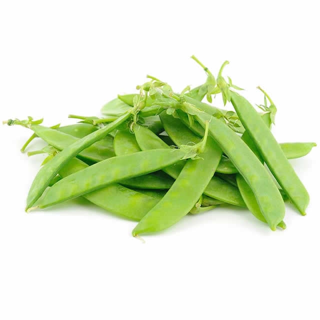 ถั่วลันเตาSugar pea เจียใต๋