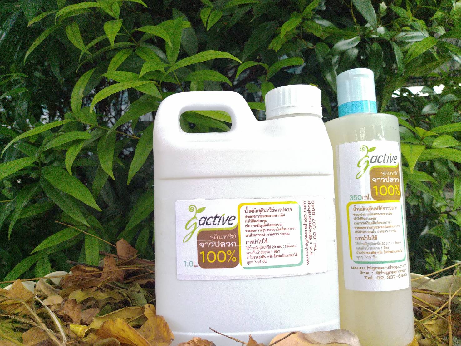 น้ำหมักจุลินทรีย์จาวปลวก ขนาด 1000 มล.