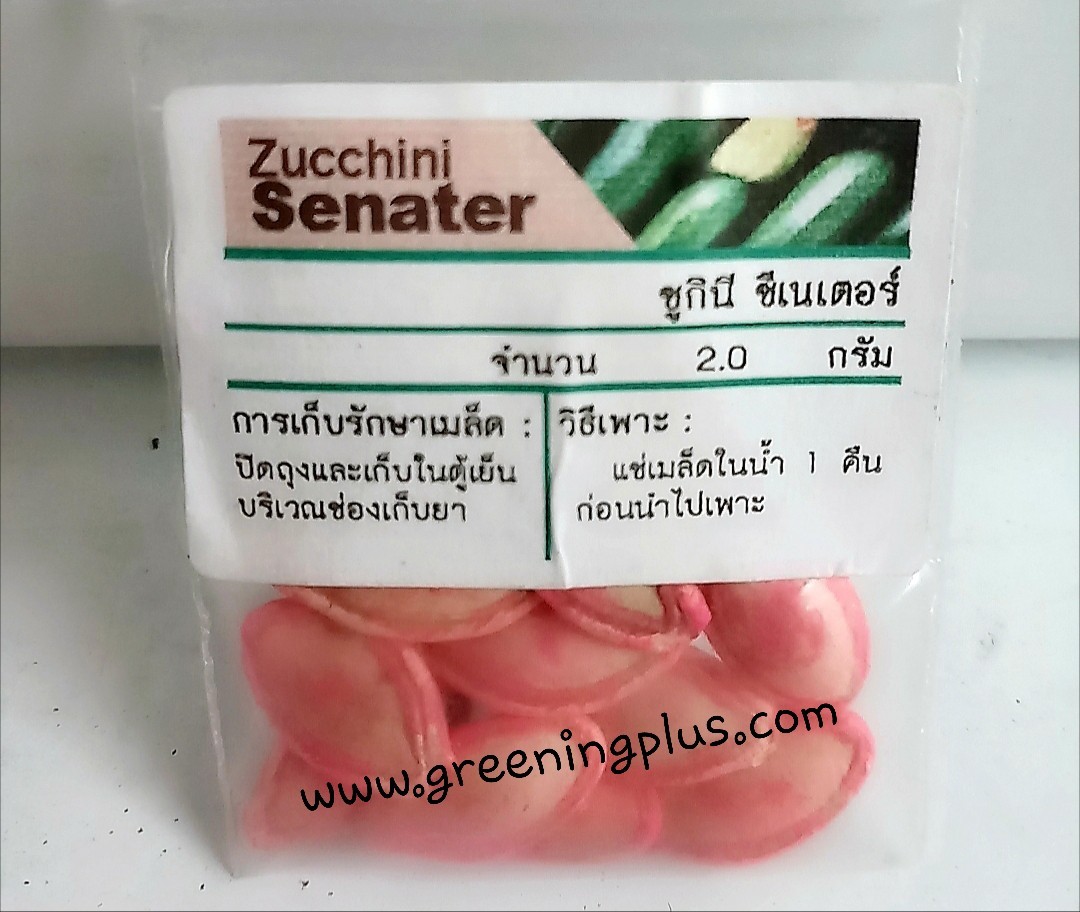 ซูกินี่ ซีเนียเตอร์ Zucchini (2.0กรัม)