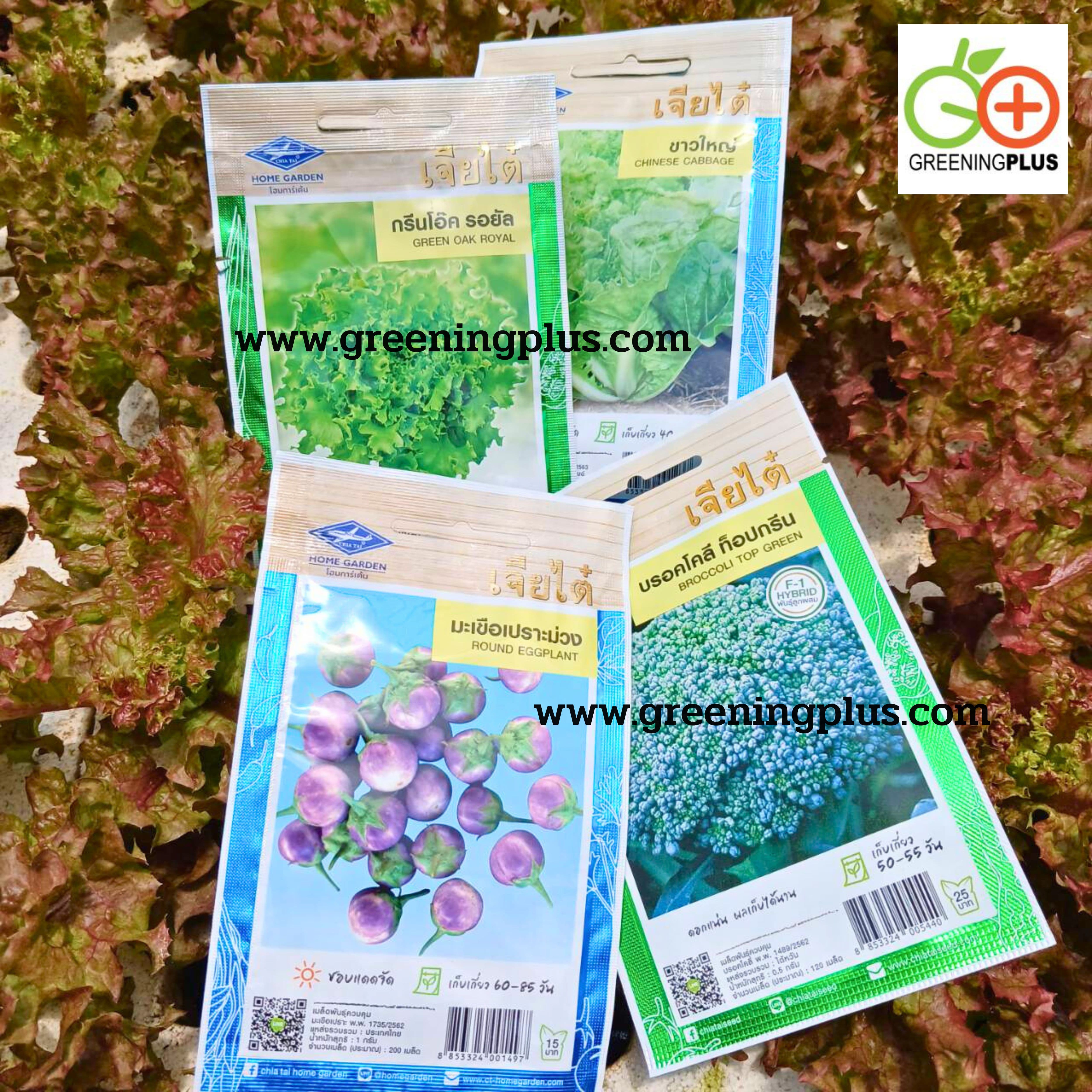 กรีนโอ๊ค รอยัล green oak royal เจียไต๋