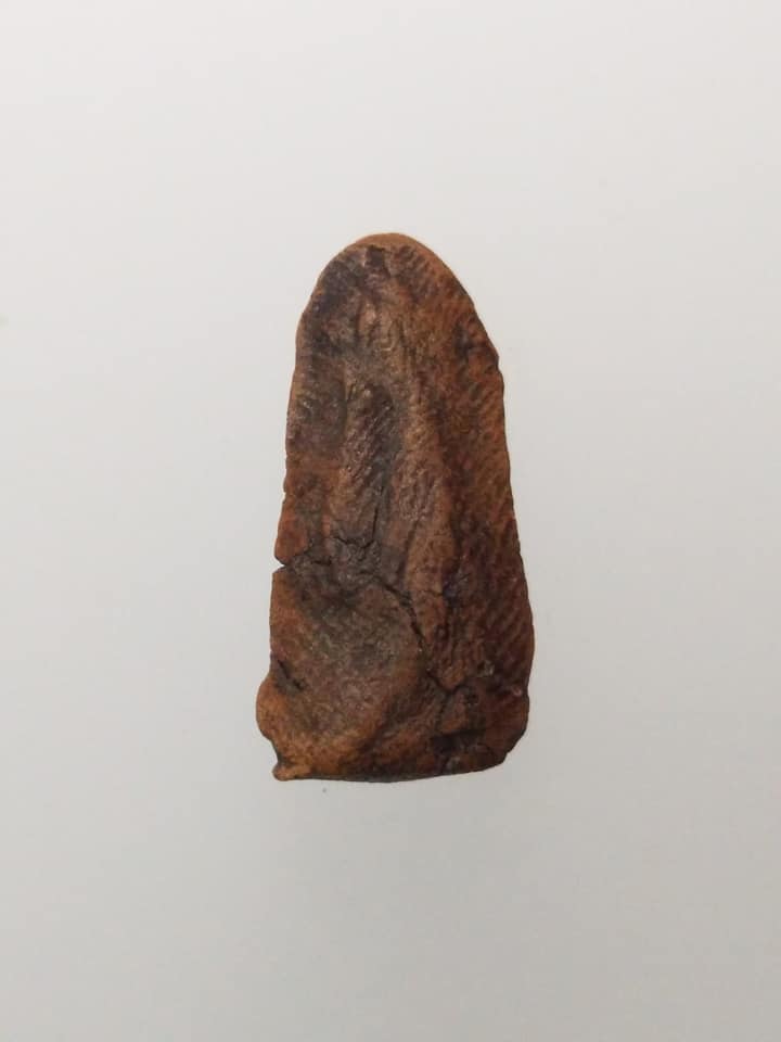 F316 พระรอด