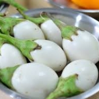 มะเขือไข่เต่าขาว 100 เมล็ด/ซอง