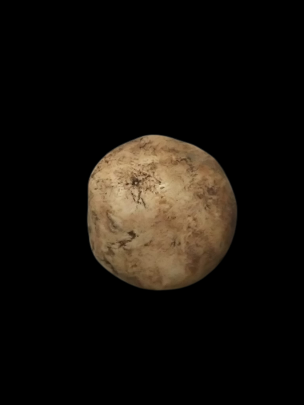 F392 พระปิดตา