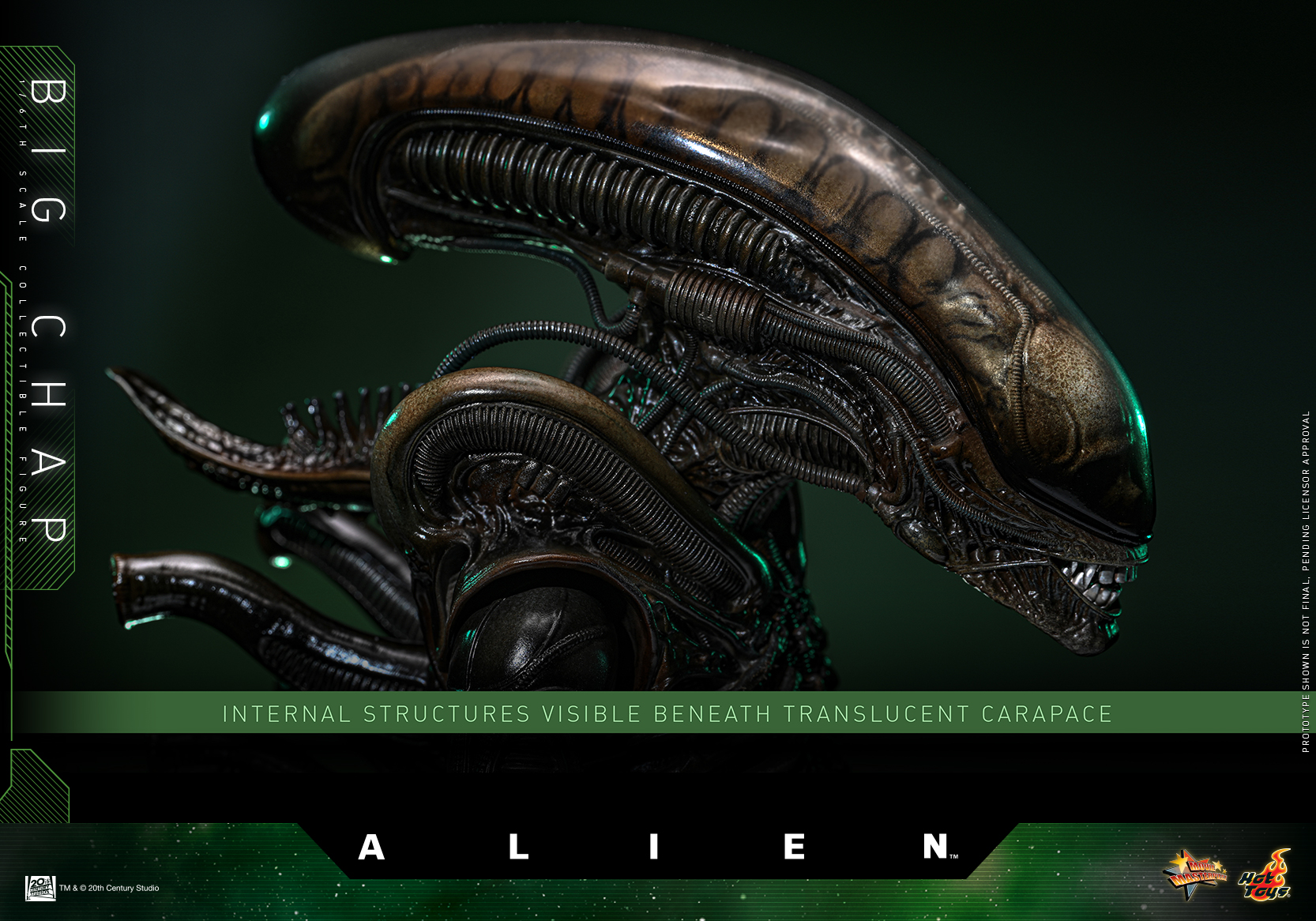25/08/2568 Hot Toys MMS826 Alien - Big Chap