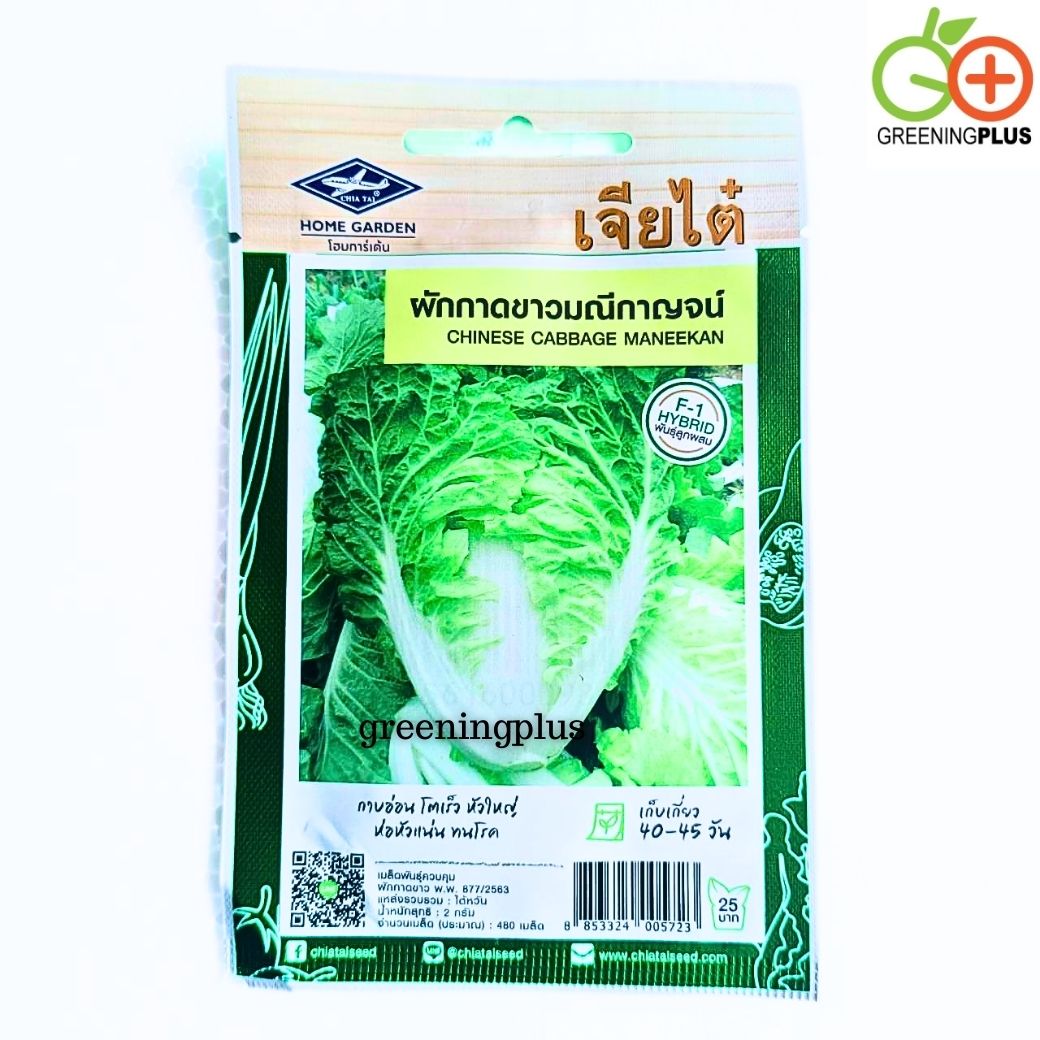 ผักกาดขาวมณีกาญจน์ CHINESE CABBAGE MANEEKAN เจียไต๋