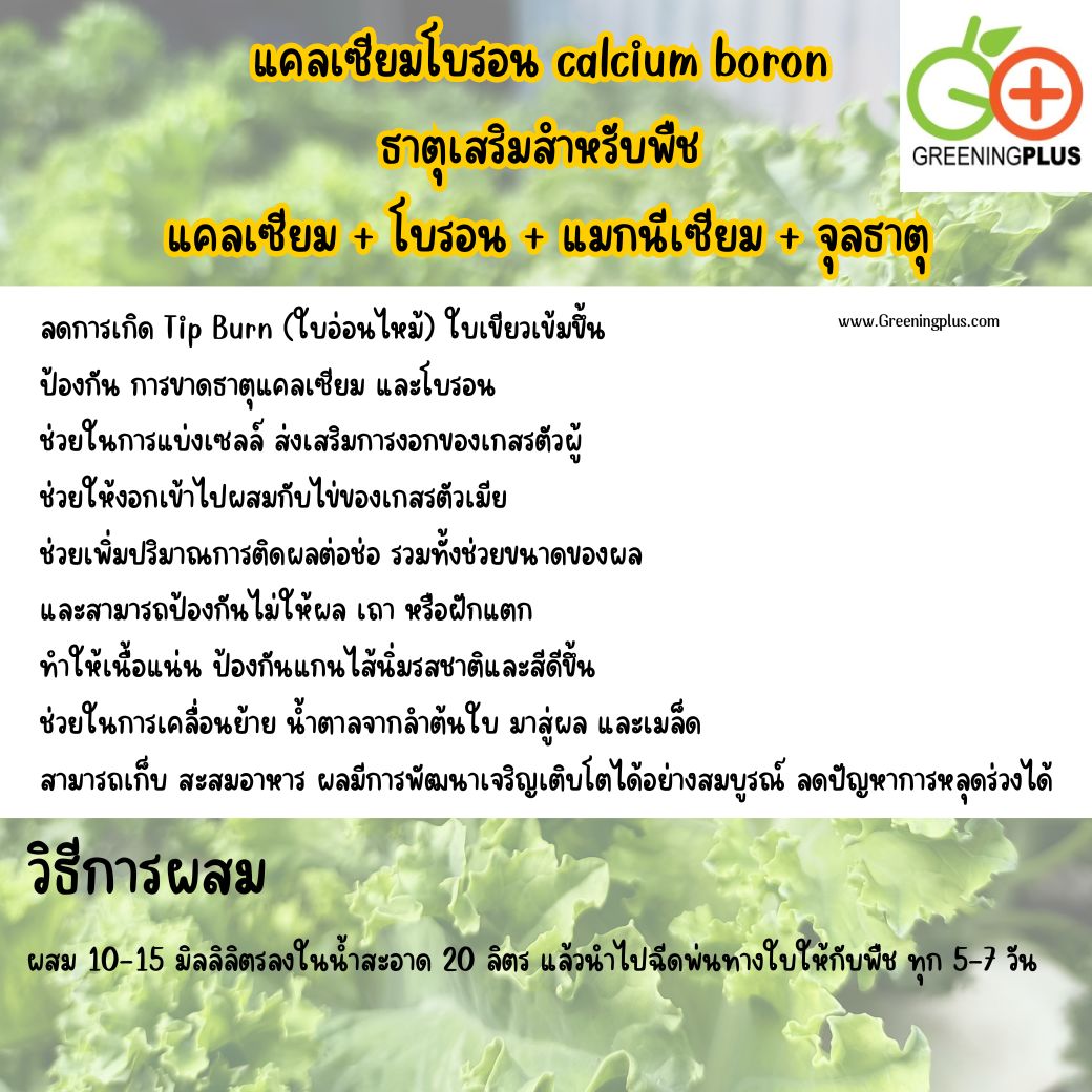 แคลเซียมโบรอน calcium boron 120ml./ขวด