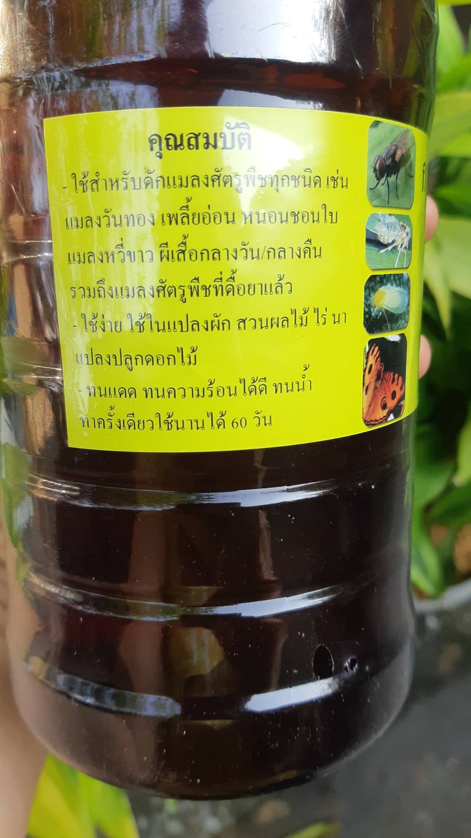กาวเหนียวดักแมลงแพนด้า อโกร PANDA AGRO 1 ลิตร