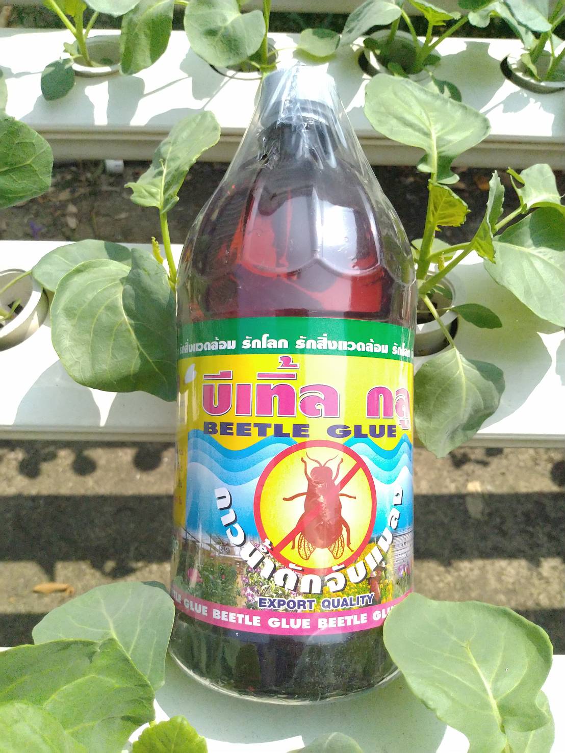 กาวเหนียวดักแมลง บีเทิ้ล กลู Beetle Glue 1 ลิตร