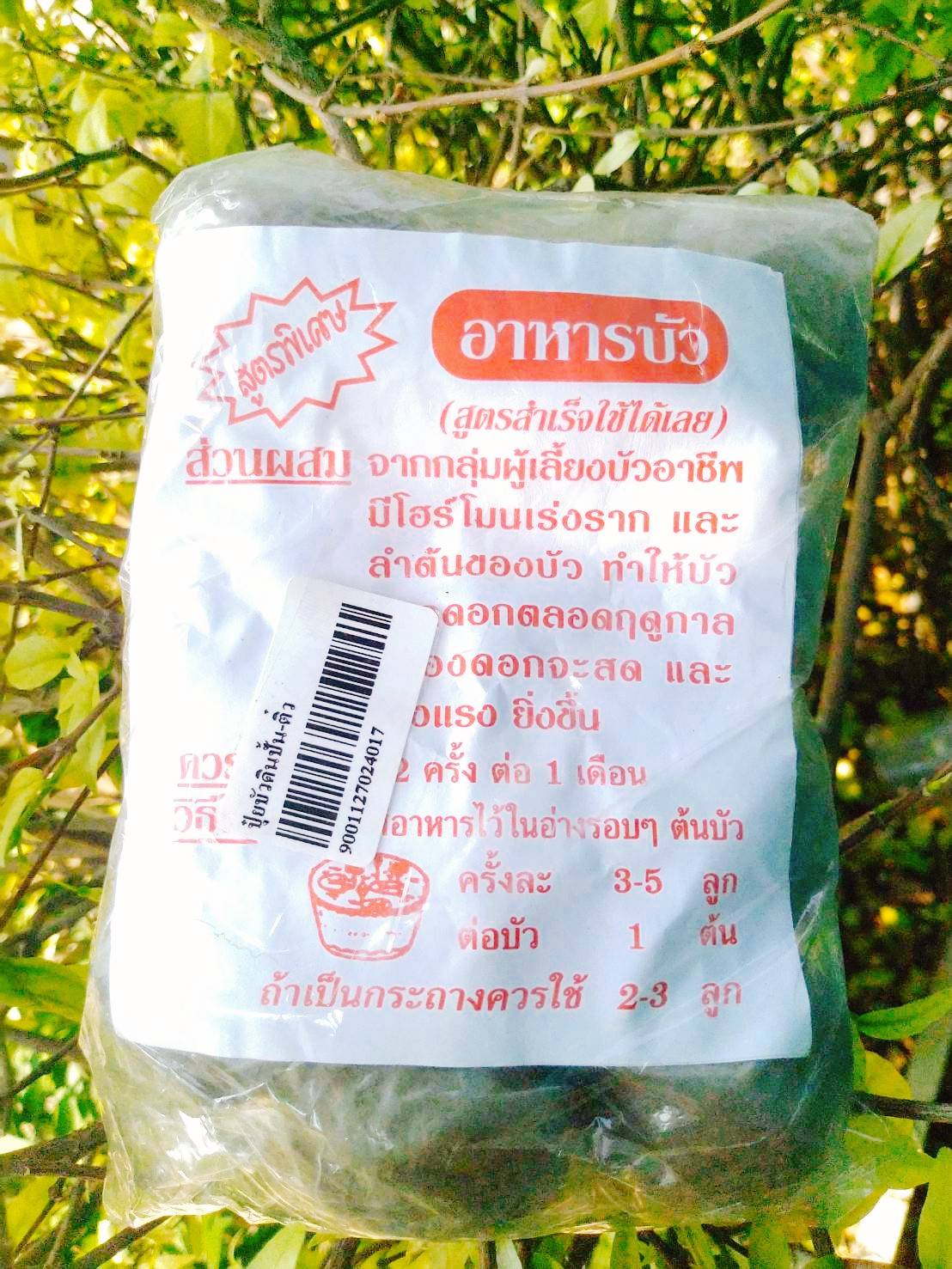 ปุ๋ยบัวดินปั้น