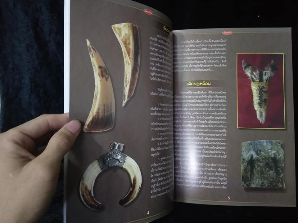 เครื่องราง ฉบับพิเศษ11