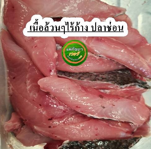 เนื้อล้วนๆปลาช่อน(ไร้ก้าง)