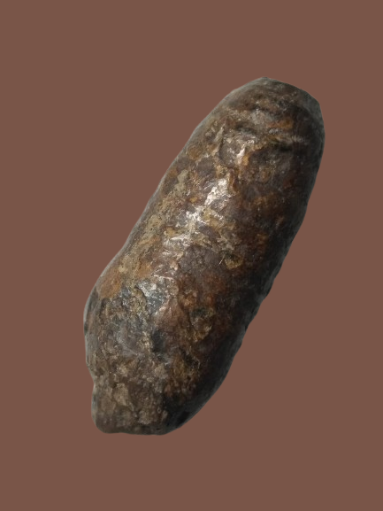 H305 คตดักแด้ ดักแด้หินทนสิทธ์