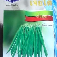 ถั่วแขก เจียใต๋