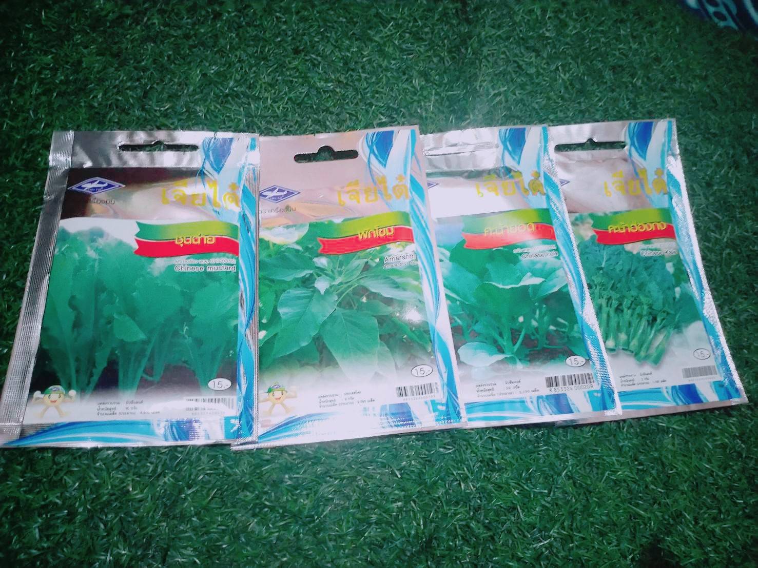 ชุนฉ่าย (Chinese Mustard) เจียใต๋