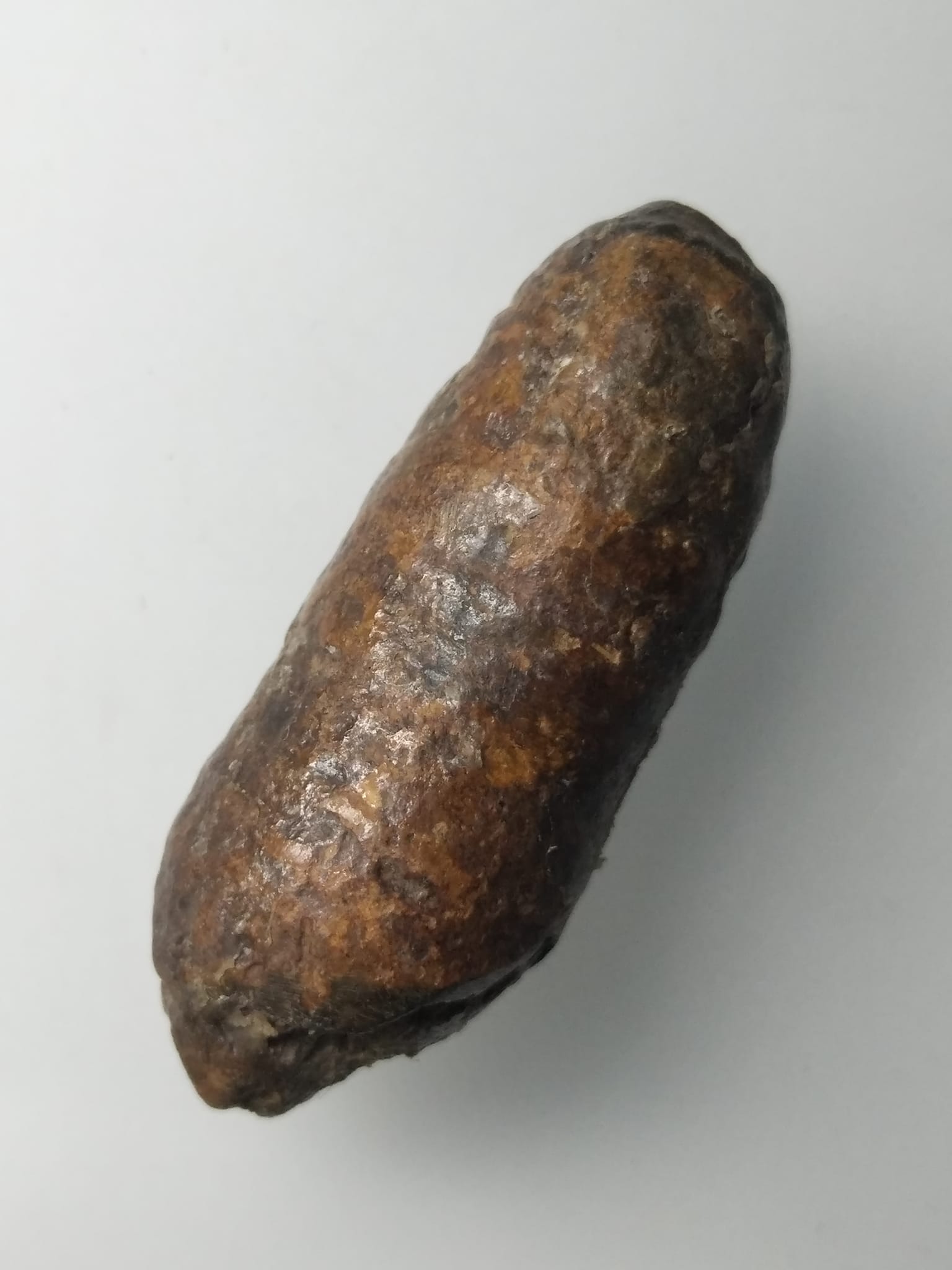 H305 คตดักแด้ ดักแด้หินทนสิทธ์