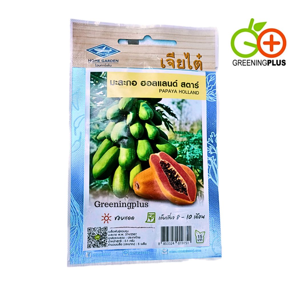 มะละกอฮอลแลนด์ สตาร์ (PAPAYA HOLLANE) เจียไต๋