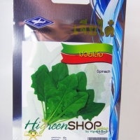 ปวยเล้ง (Spinach) เจียใต๋