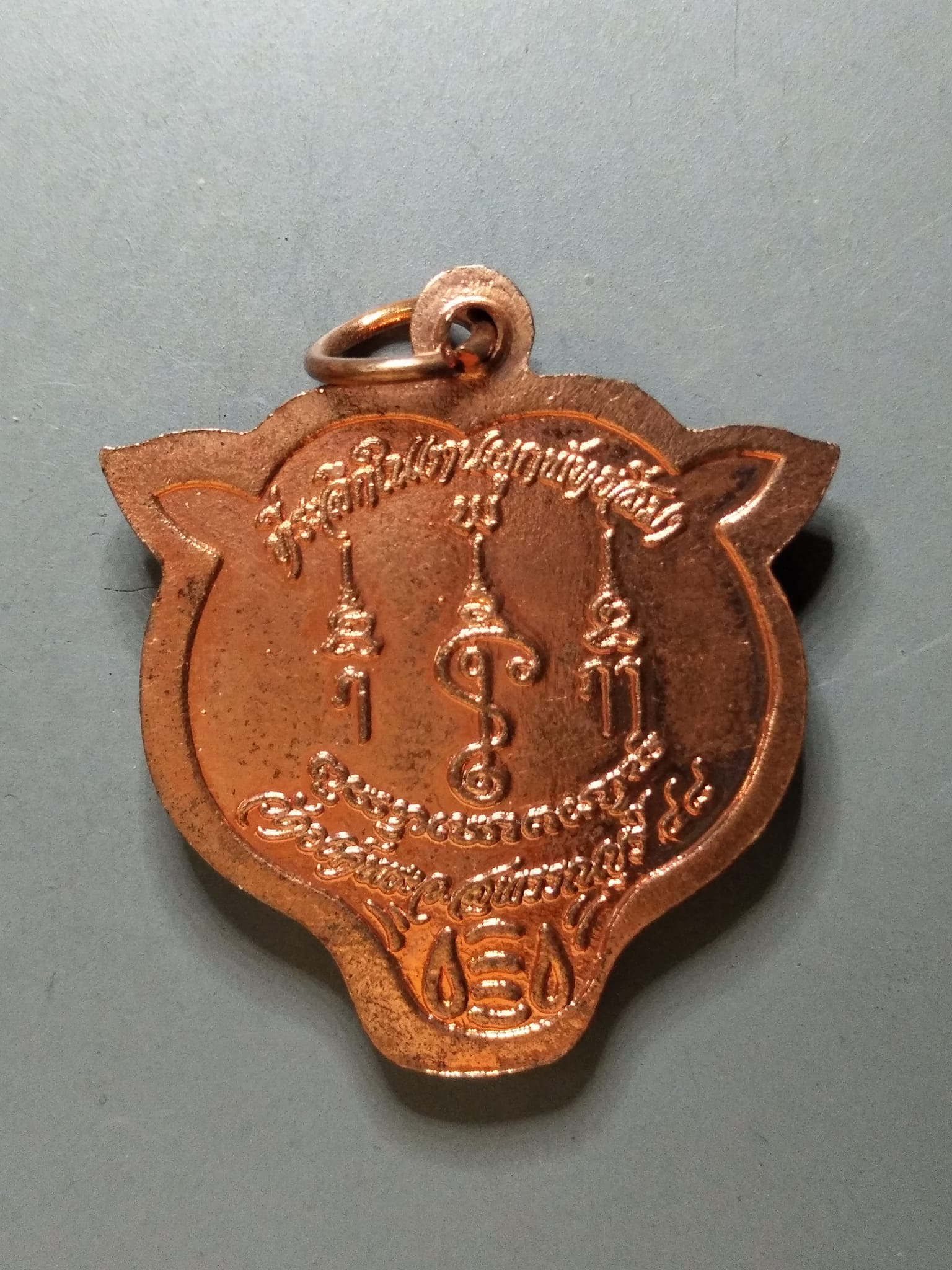 G204 เหรียญหน้ากากเสือ วัดองค์พระ จ.สุพรรณบุรี ปี2548