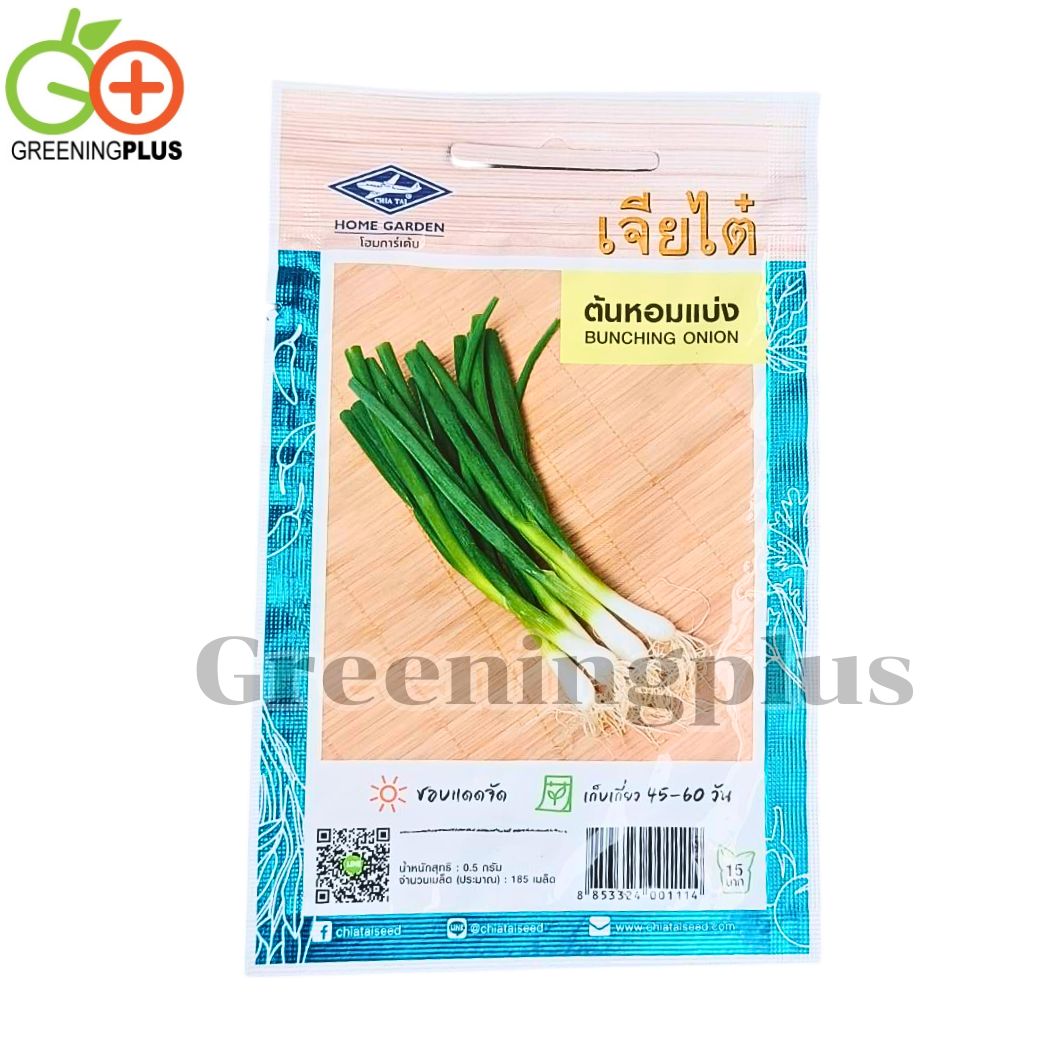 หอมแบ่ง Bunching onion เจียไต๋