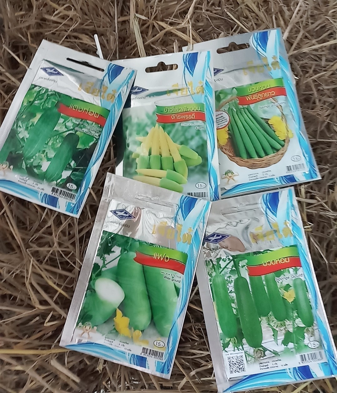 แตงกวาท่อน (Cucumber) เจียใต๋