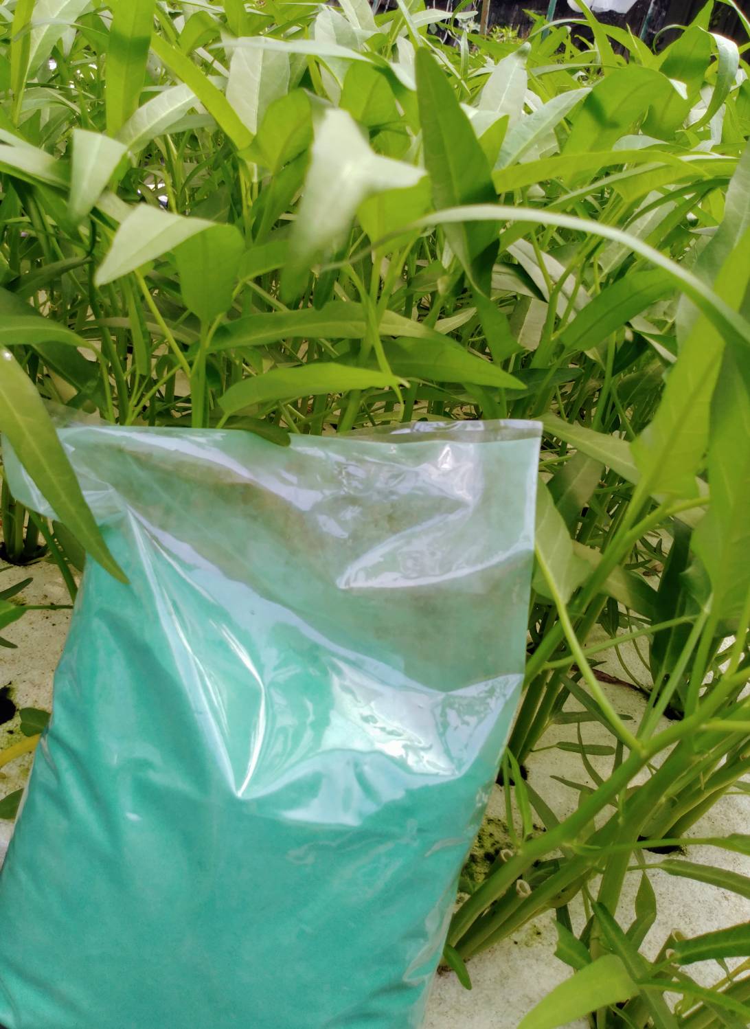 จุลธาตุ (นิคสเปรย์) 500 กรัม