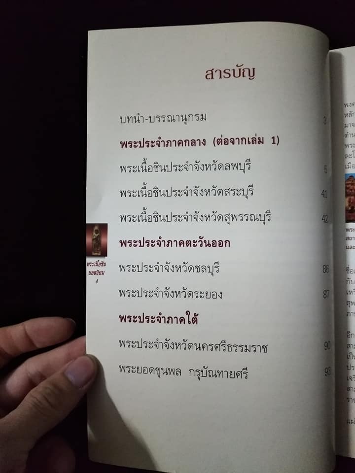 พระเนื้อชินยอดนิยม เล่ม2