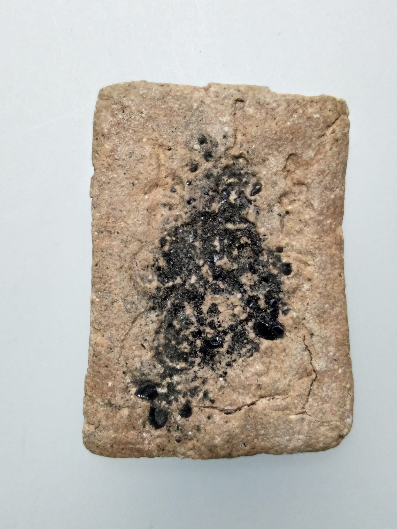 F050 พระปางเลไลย์