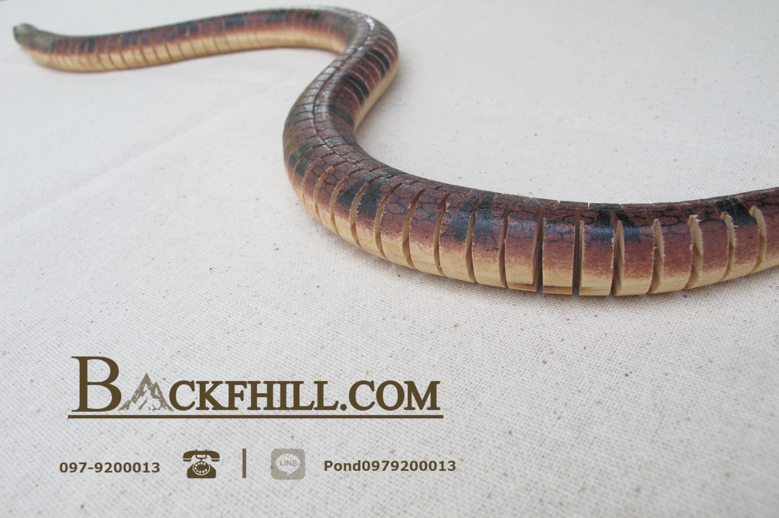 โมเดลงูไม้