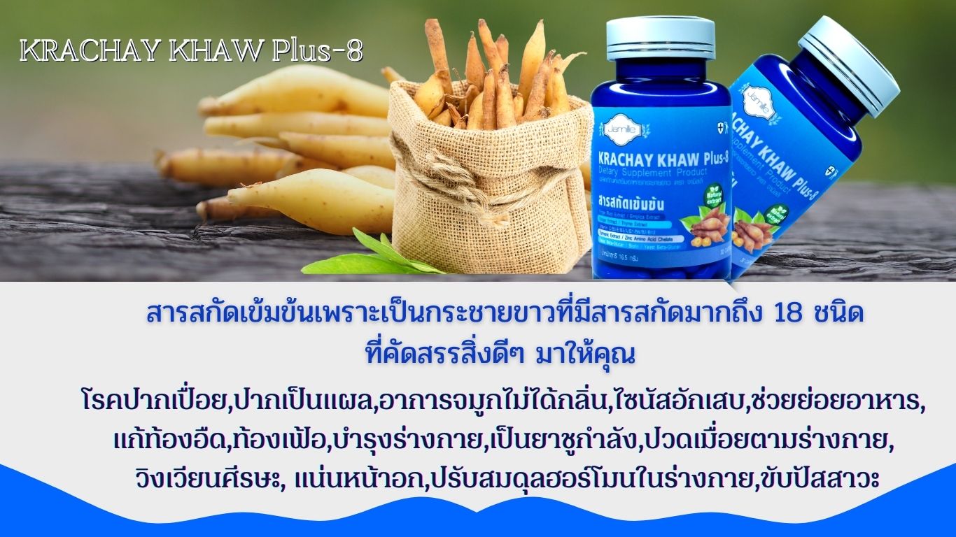 krachay khaw plus-8 สารสกัดกระชายขาว เสริมสร้างภูมิคุ้มกัน ต้านอนุมูลอิสระ ป้องกันไวรัส ป้องกันโควิด-19 วินตามินรวม ลดการอักเสบ แก้ไอ ละลายเสมหะ หลอดลมอักเสบ หอบหืด วัณโรคปอด กระตุ้นเซลล์เม็ดเลือดขาว 