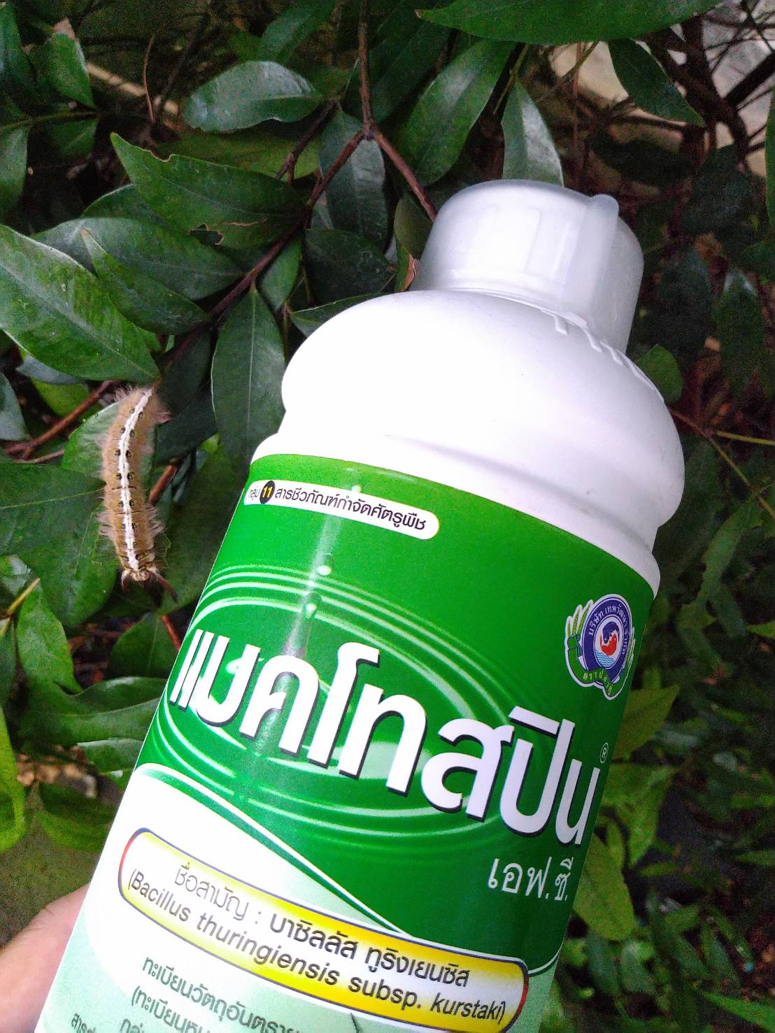 BT แบคโทสปิน (บาซิลลัส ทูริงเยนซีส) 1 ลิตร