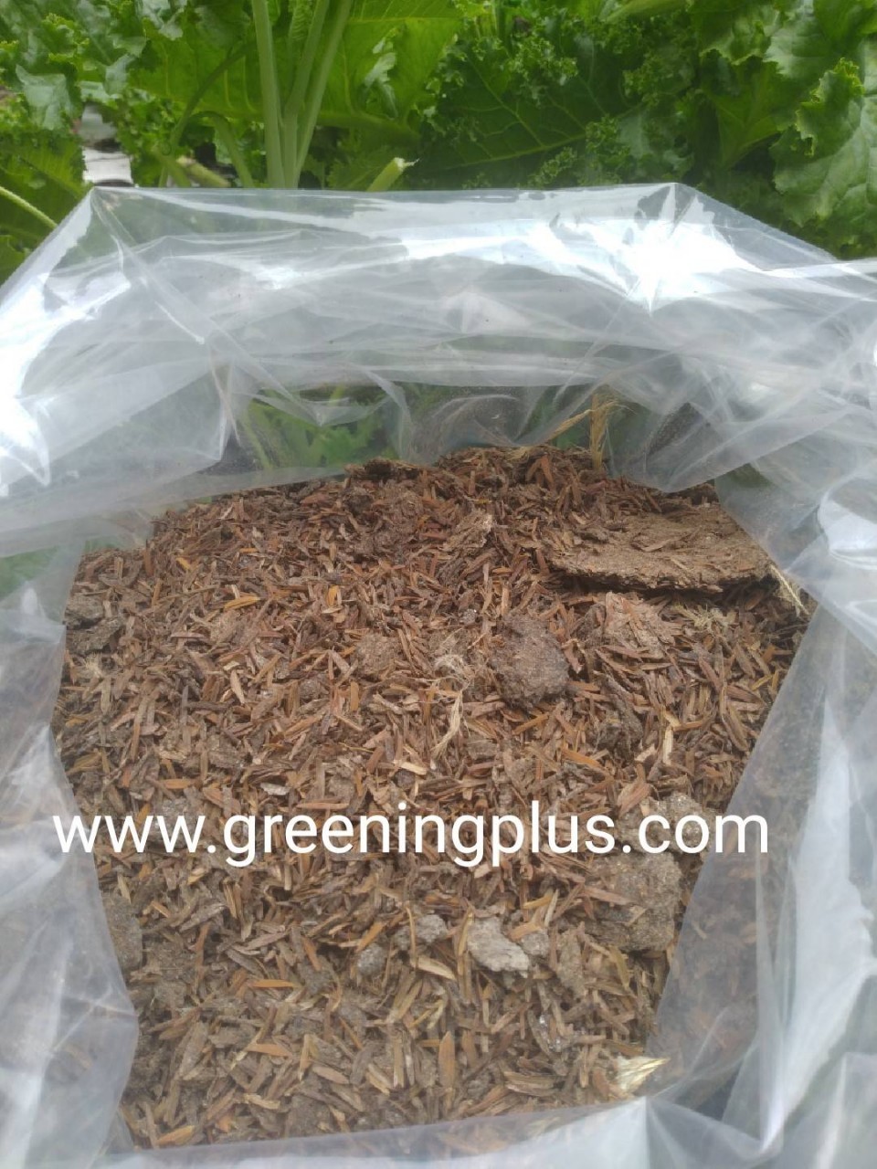 ขี้ไก่ผสมแกลบ100% จำนวน 1กส.