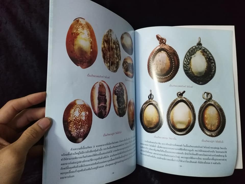 เบี้ยแก้ หมากทุย